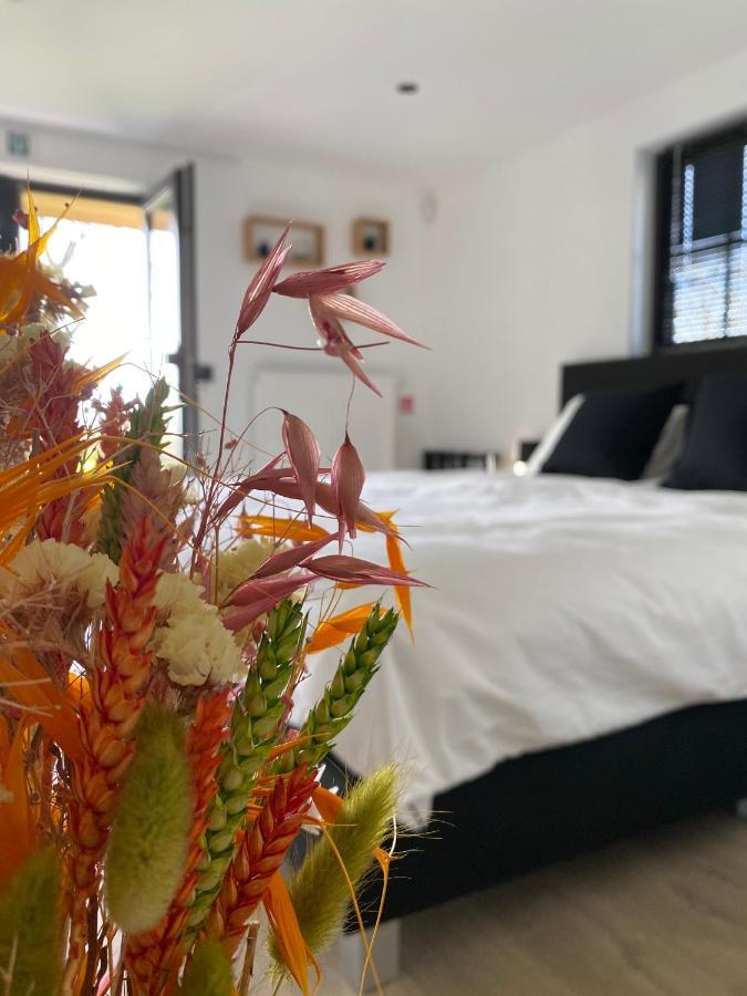 Damse Paveljoentje Comfort En Uitzicht In Damme Dış mekan fotoğraf